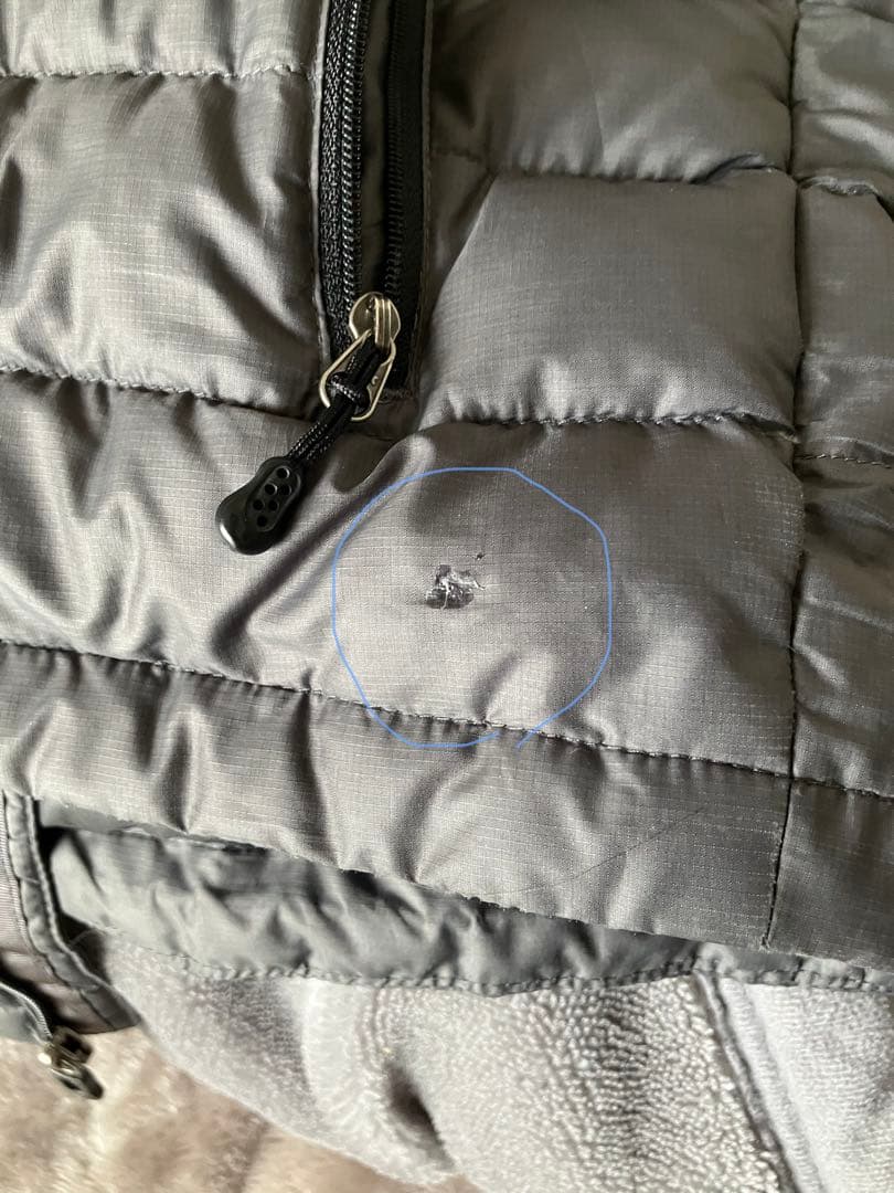 難ありpatagonia ダウンジャケット