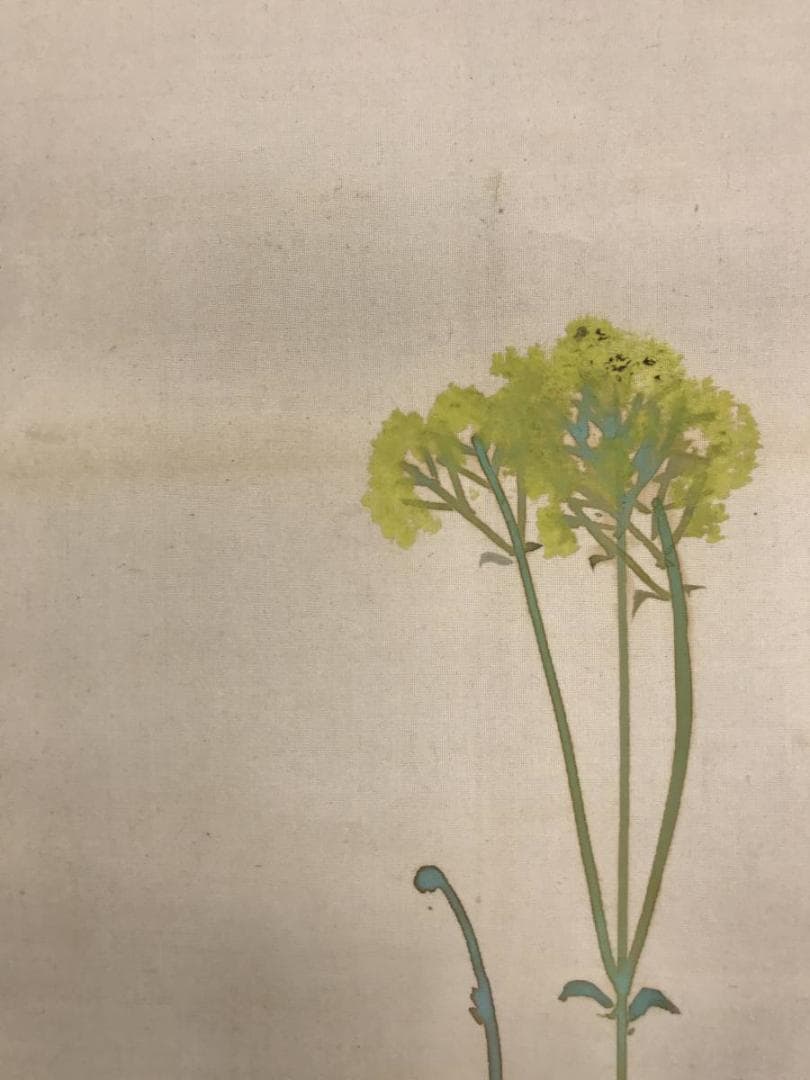 真作/雑喉紅朝/朝顔/オミナエシトンボ図/夏の花図/掛軸/名家伝来/AD-876