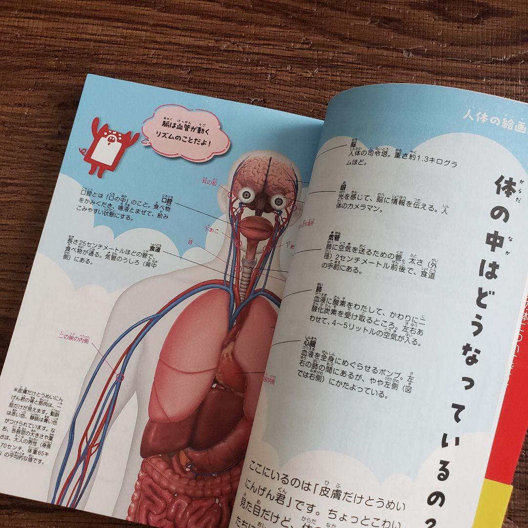 10冊セット◆ニュートン科学の学校シリーズ 動物の学校／地球／天気／恐竜 等