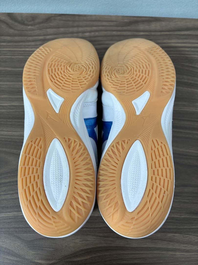 【フットサル・ほぼ未使用】MIZUNO モレリアサラ PRO IN 26センチ