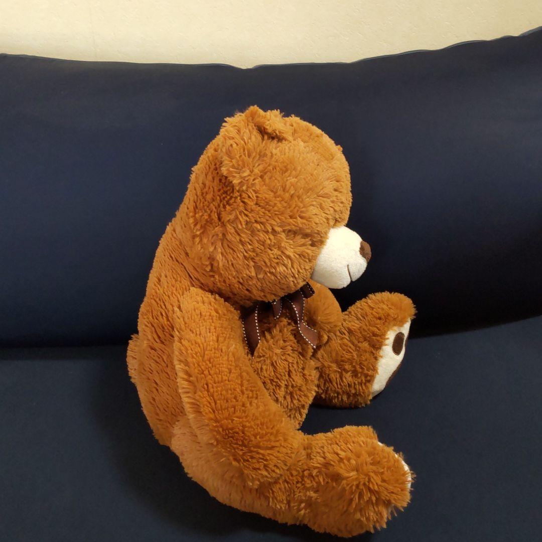 ブラウンベア・中・