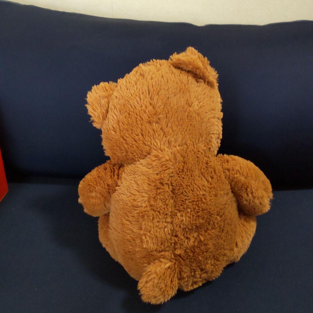 ブラウンベア・中・