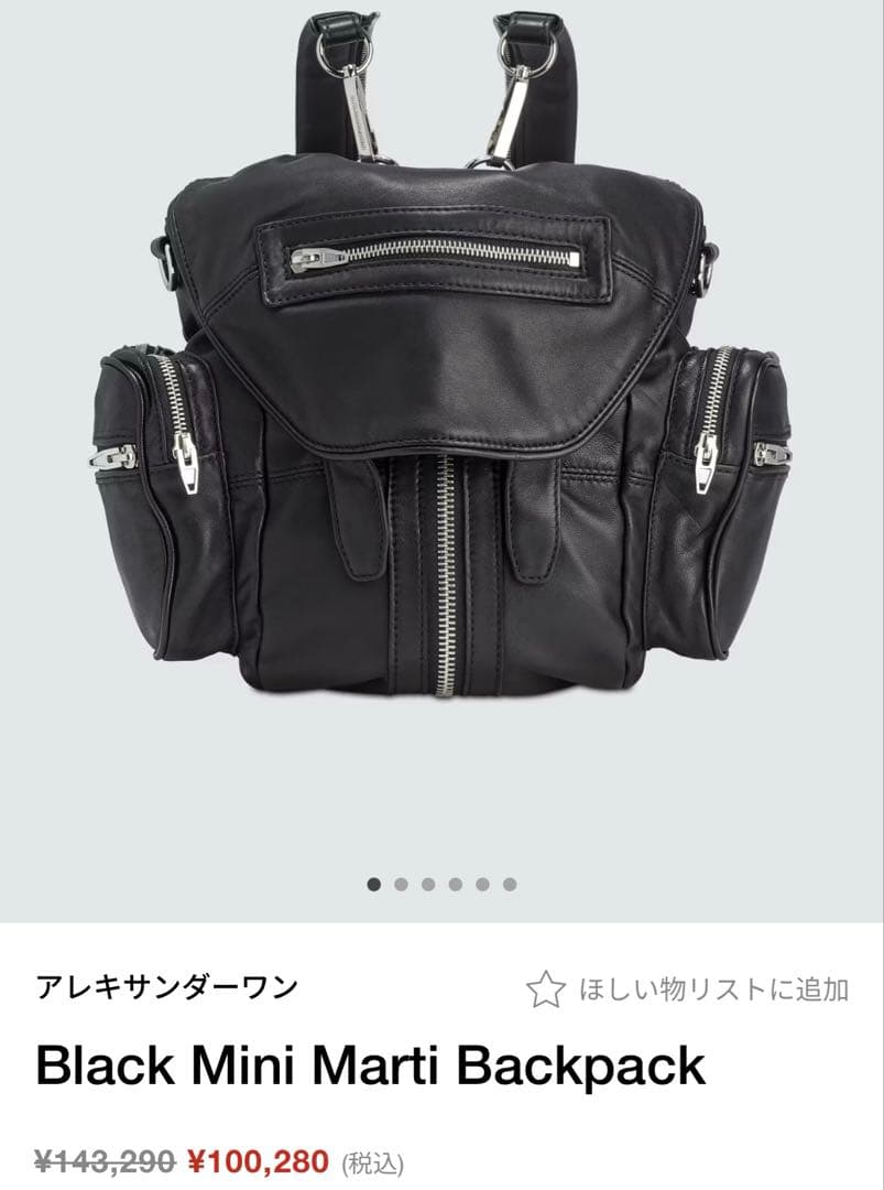 AlexanderWang 18aw MiniMarti sullen 市川隼基