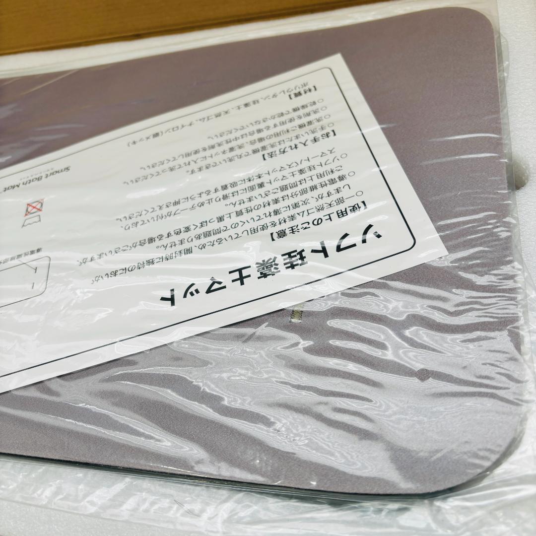 issin イッシン スマートバスマット 体組成計モデル SBM24W01LJ