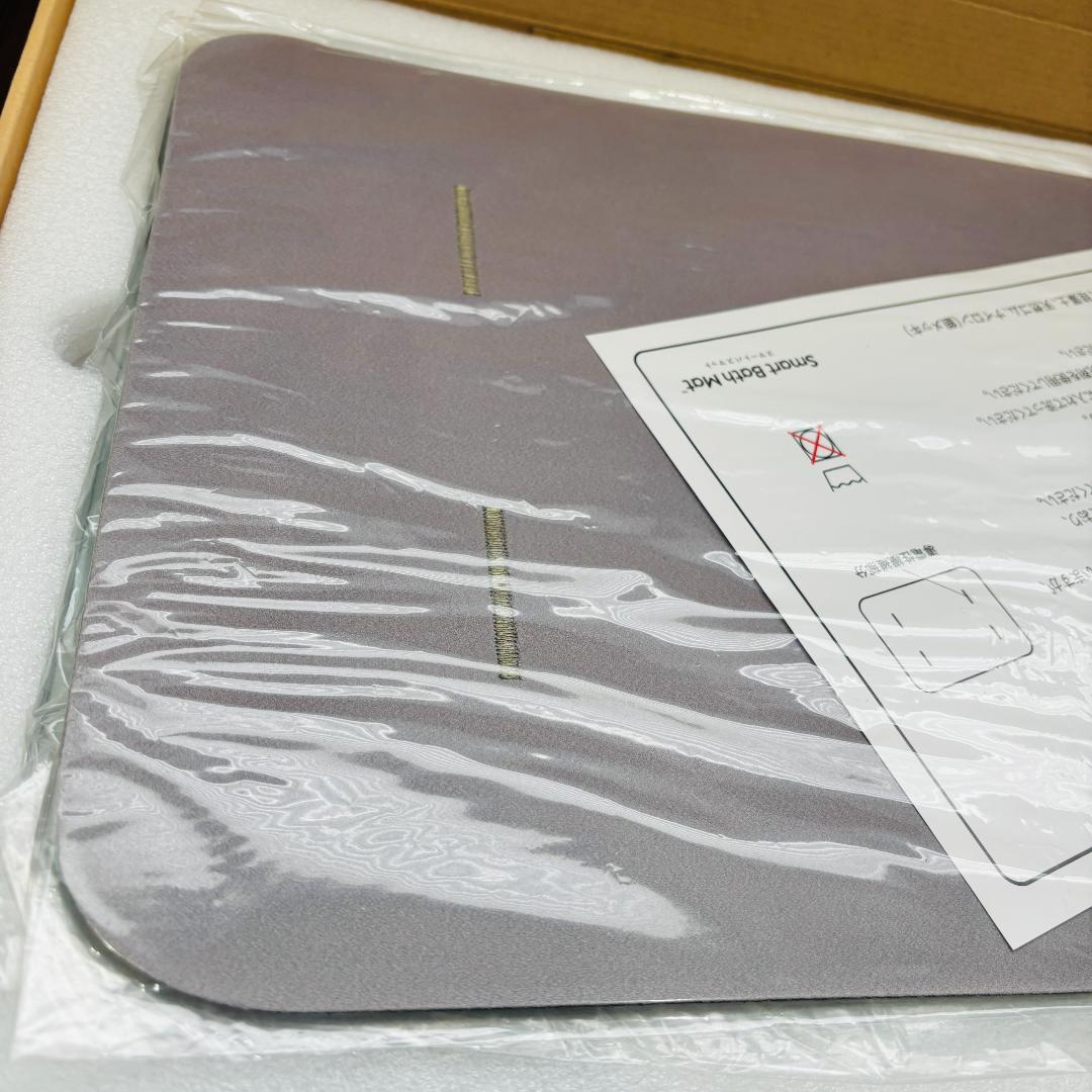 issin イッシン スマートバスマット 体組成計モデル SBM24W01LJ