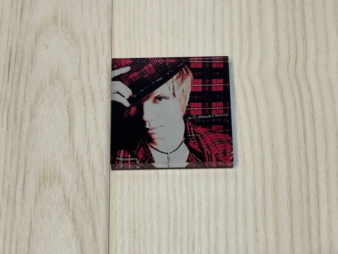 AcidBlackCherry アクリルマグネット