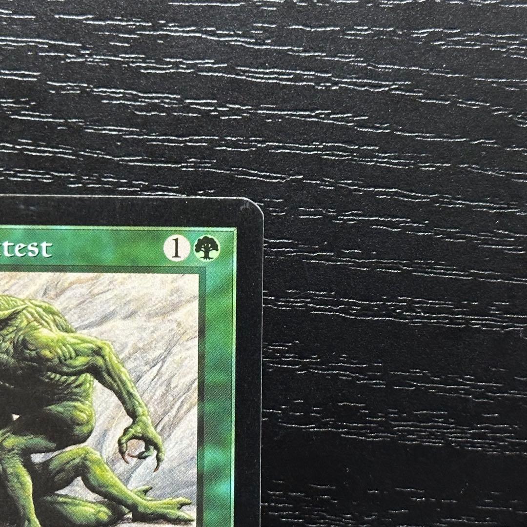 MTG 適者生存 英語