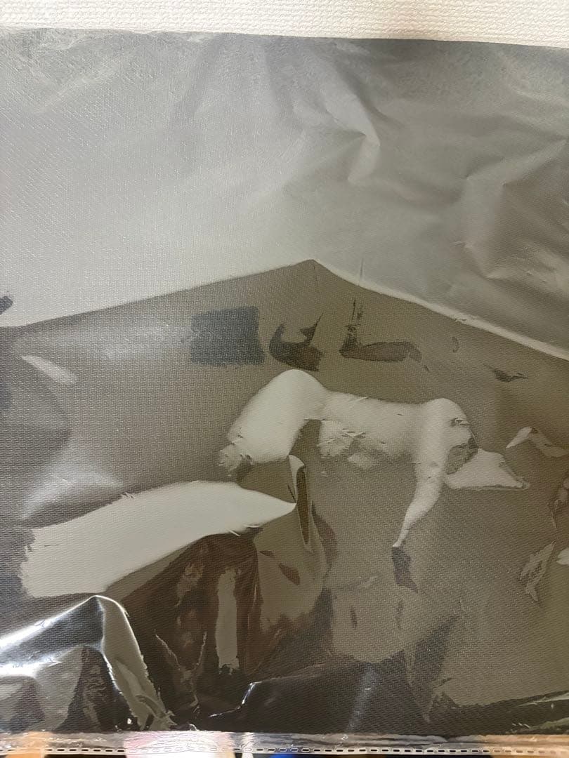 遊戯王 OCG 公式 プレイマット 現世離レ カクリヨノチザクラ ランキング