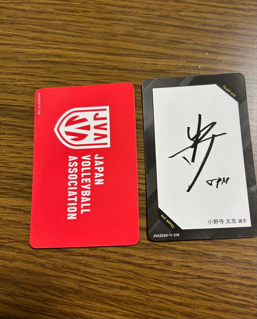 日本バレーボール協会 選手カードセット