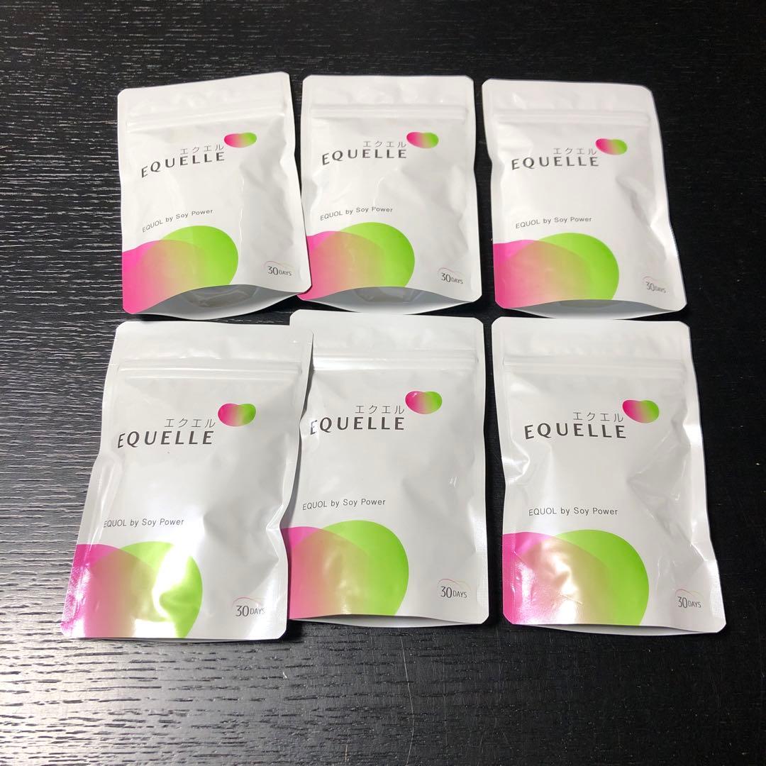 【正規品】６袋セット 大塚製薬 エクエル パウチ 120粒入