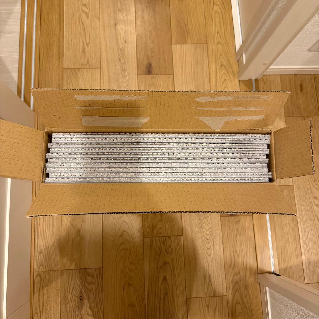 静床ライト N-10a オフホワイト 未使用