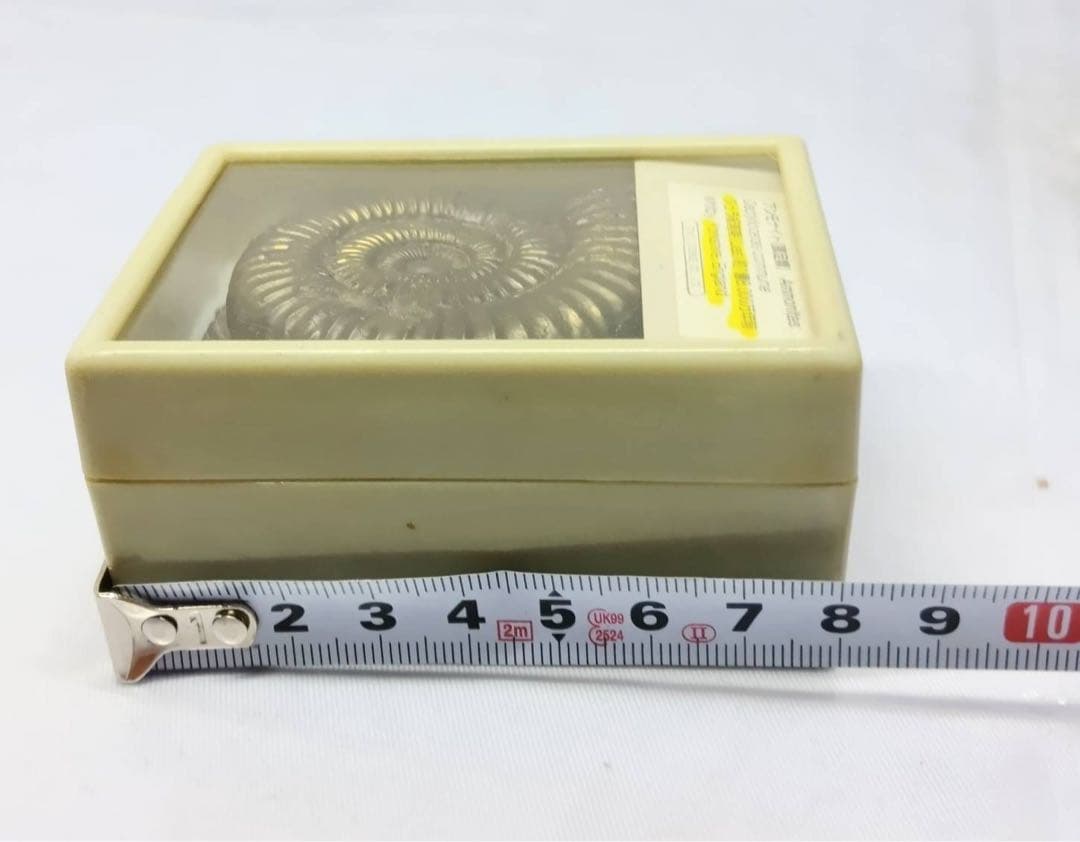 アンモナイト　化石　ジュラ紀前期　ケース入り　インテリア 置物　アンティーク