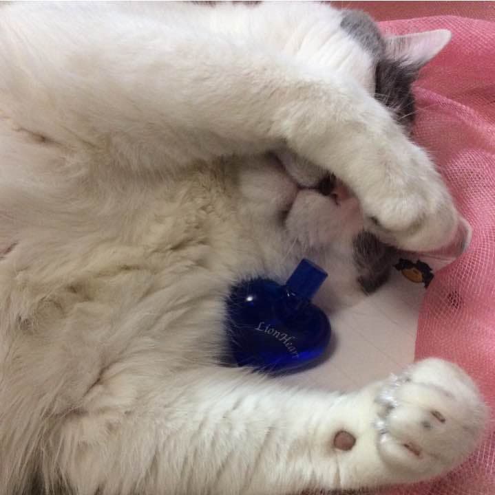 【お取り置き品】ライオンハート オードトワレ 10ml