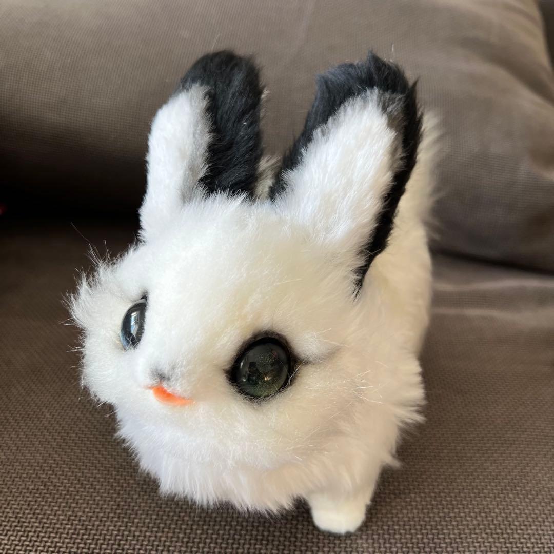 黎*様 作家様（テリトリドール様）アートドール　うみうさ