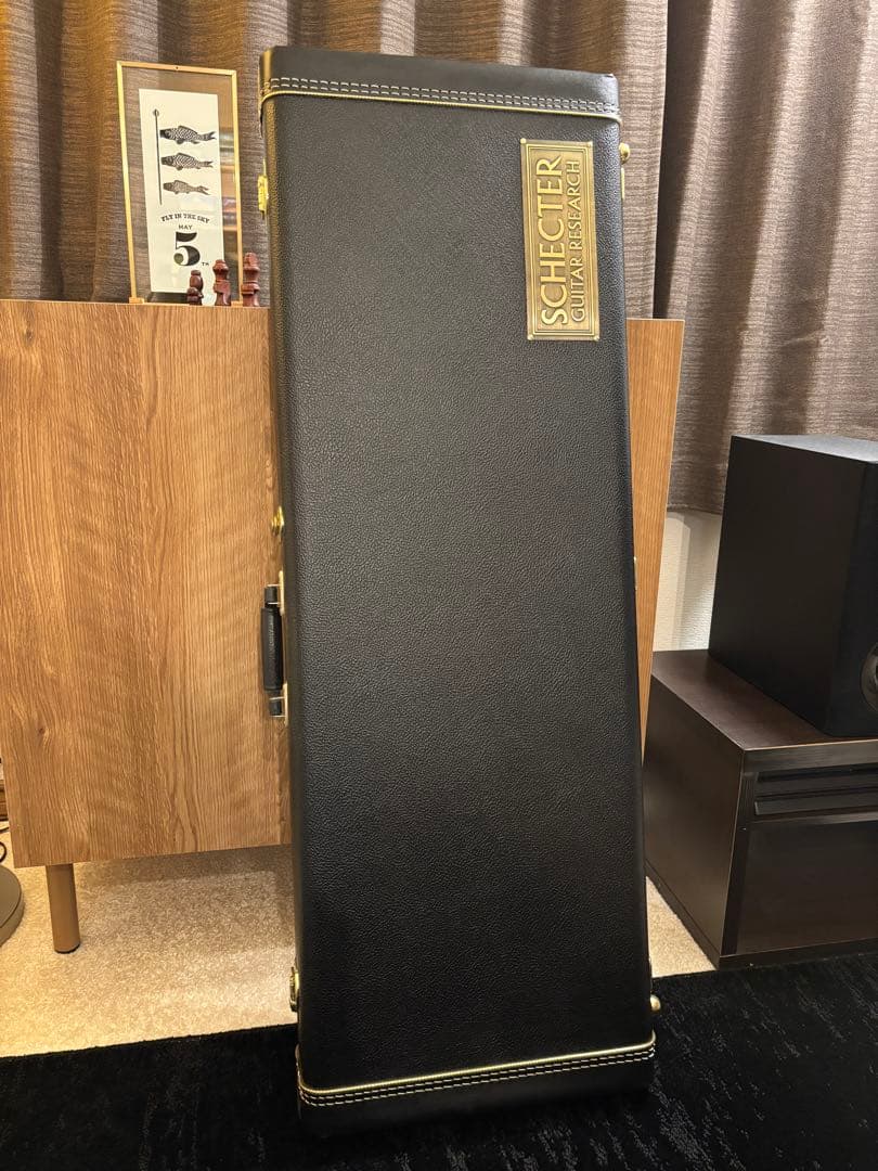 ギター SCHECTER TR-J-ST/LTD