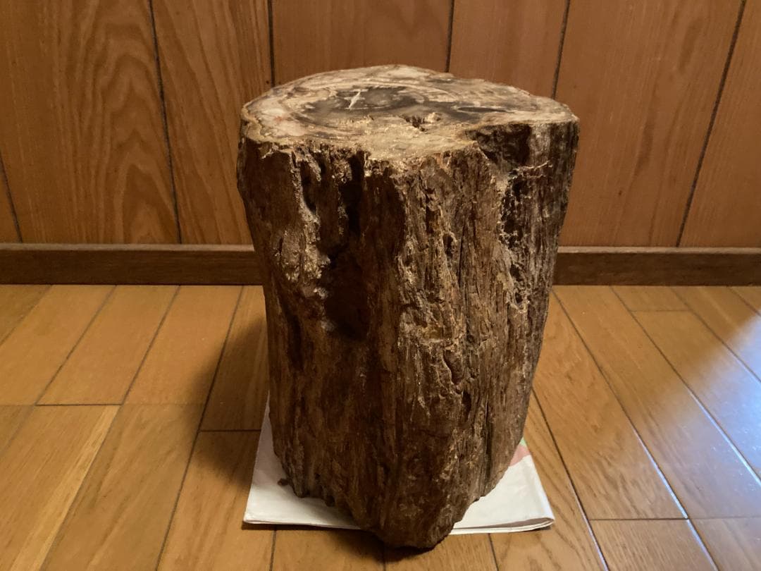 木化石　ブラジル産　30Kg弱くらい　珪化木 受け渡しも可能です