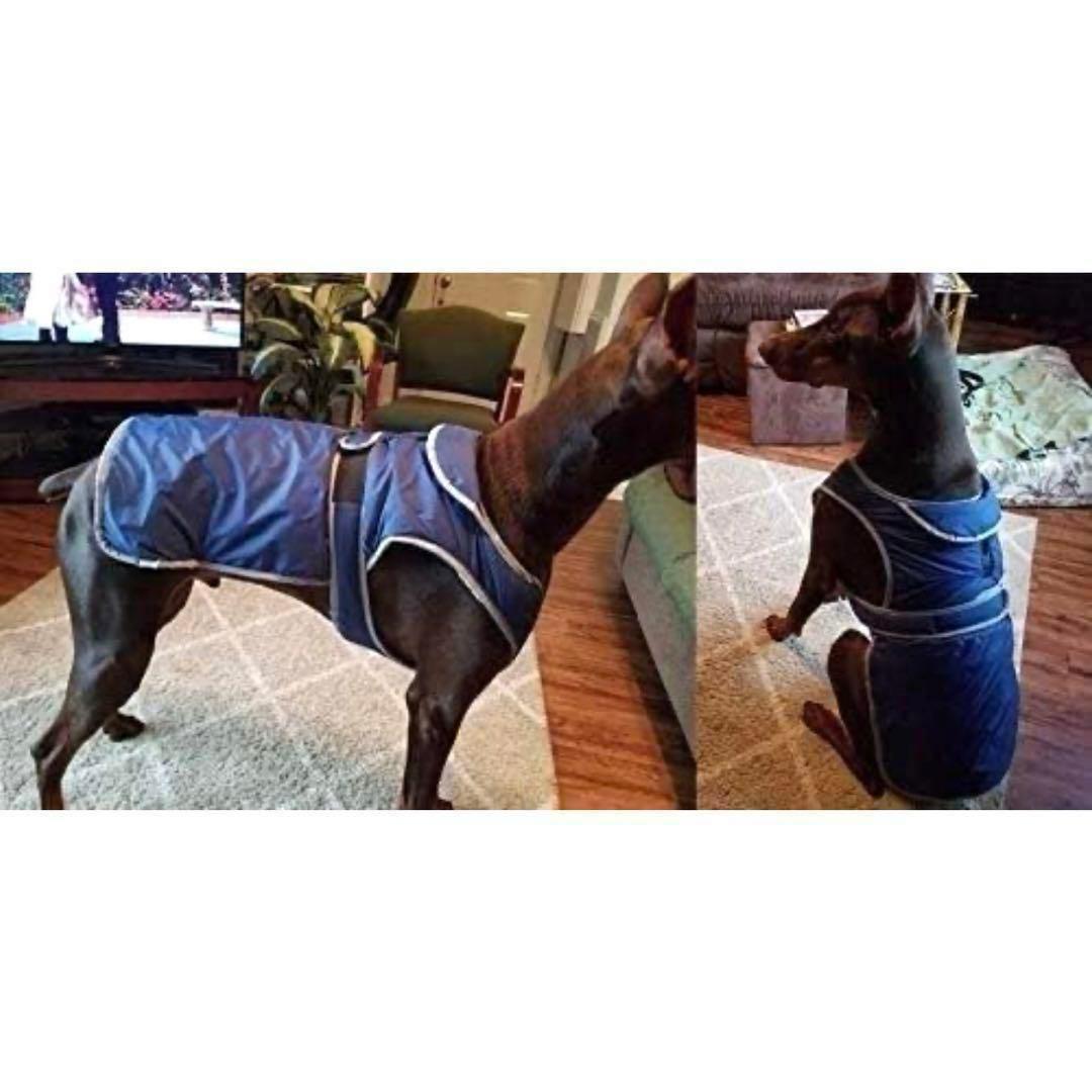 天気屋外防水犬アパレル衣料用反射ドッグコート イヌ 犬用服 冬用 コート