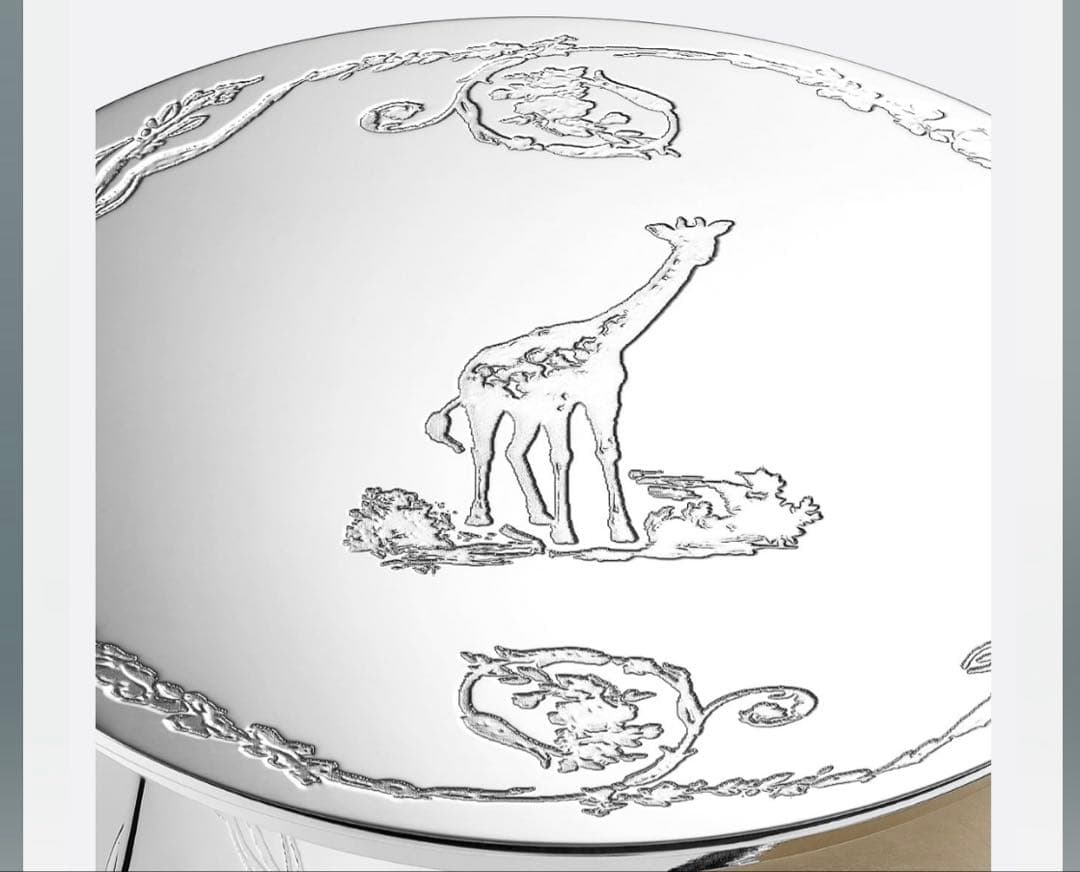 【ボックスリボン付】ベビーディオール　シークレットボックス　トワルドジュイ