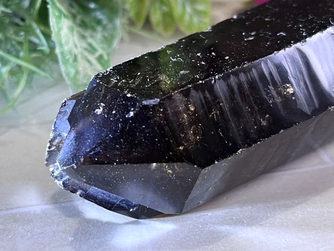 タントリックトリプレッツ✨　スモーキーレムリアンシード　クリスタル　原石　水晶