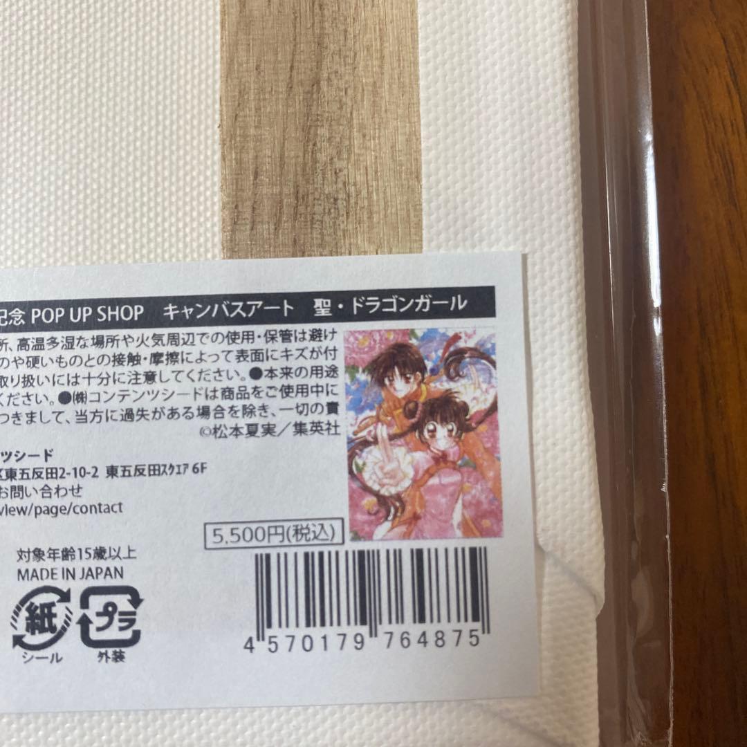 未使用 ポップアップストア 松本夏実 聖ドラゴンガール グッズ5点セット