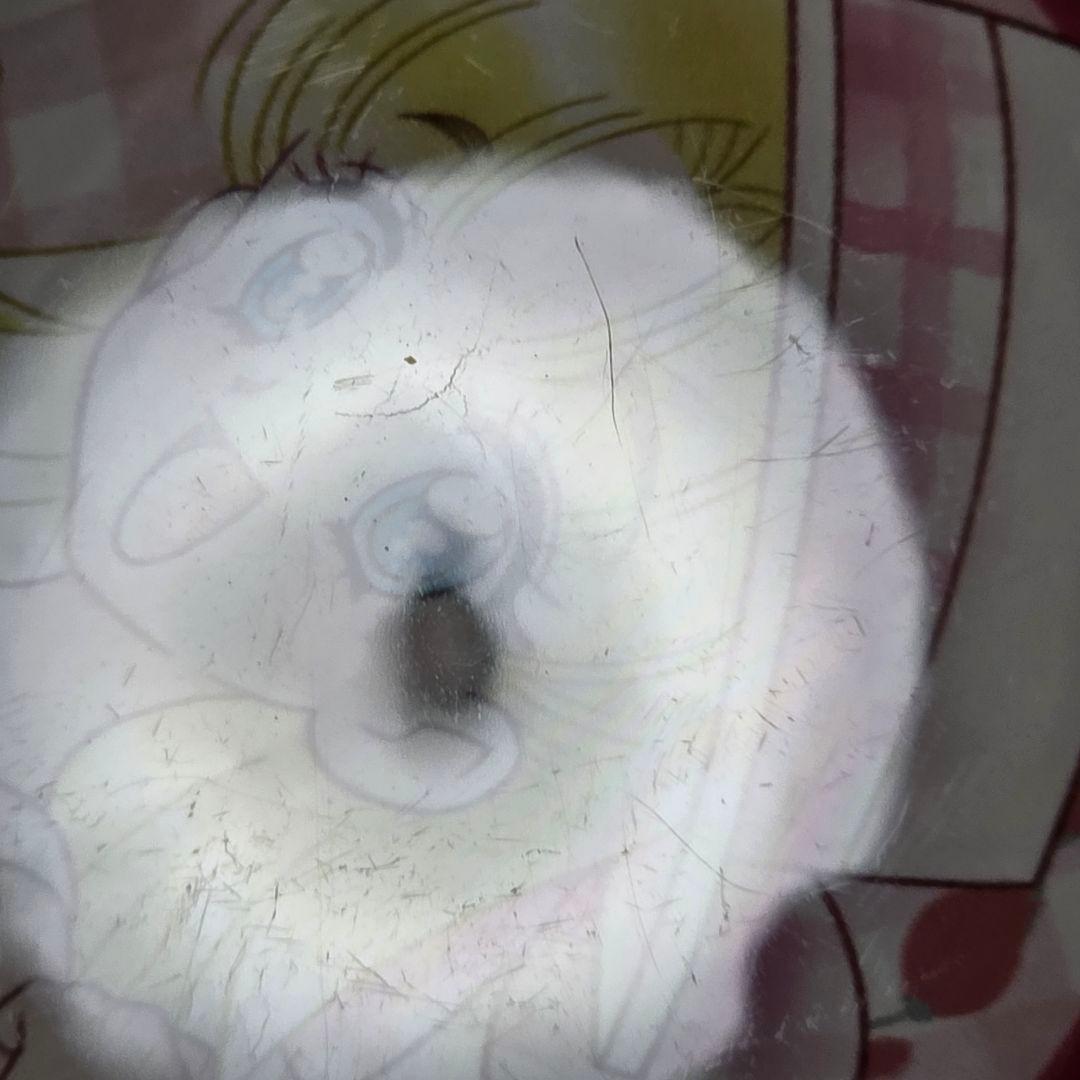 1点 ナージャ おでかけ 缶バッジ 明日のナージャ