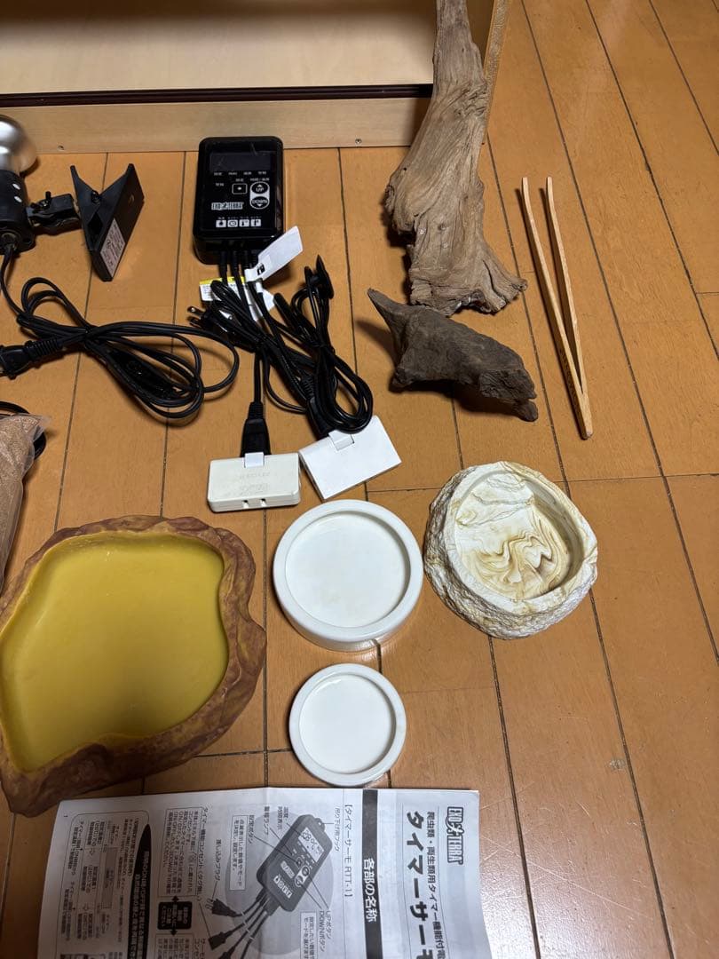 フトアゴ　飼育 セット　フトアゴヒゲトカゲ　リクガメ