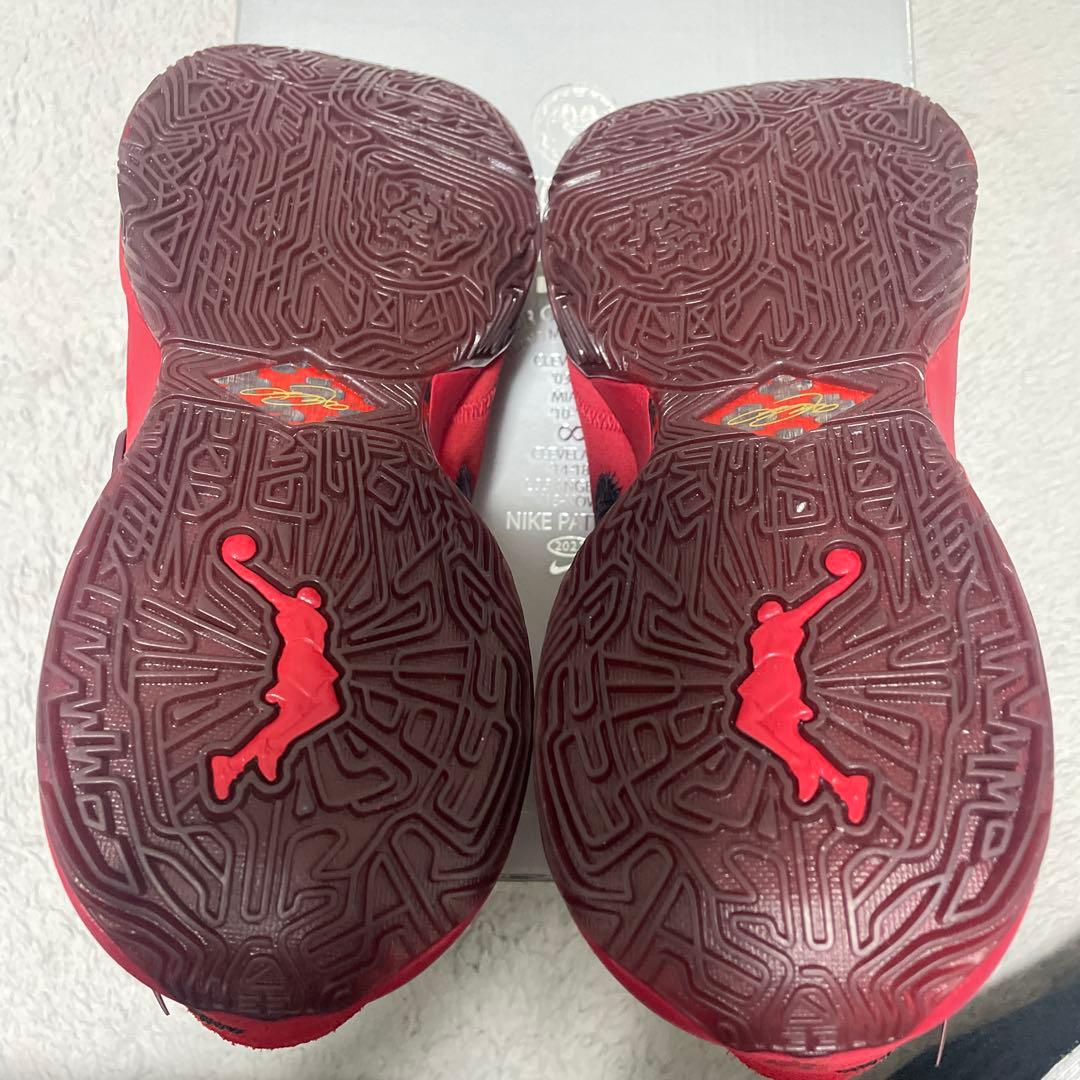 LEBRON XX EP レブロン20【1月10日まで出品】