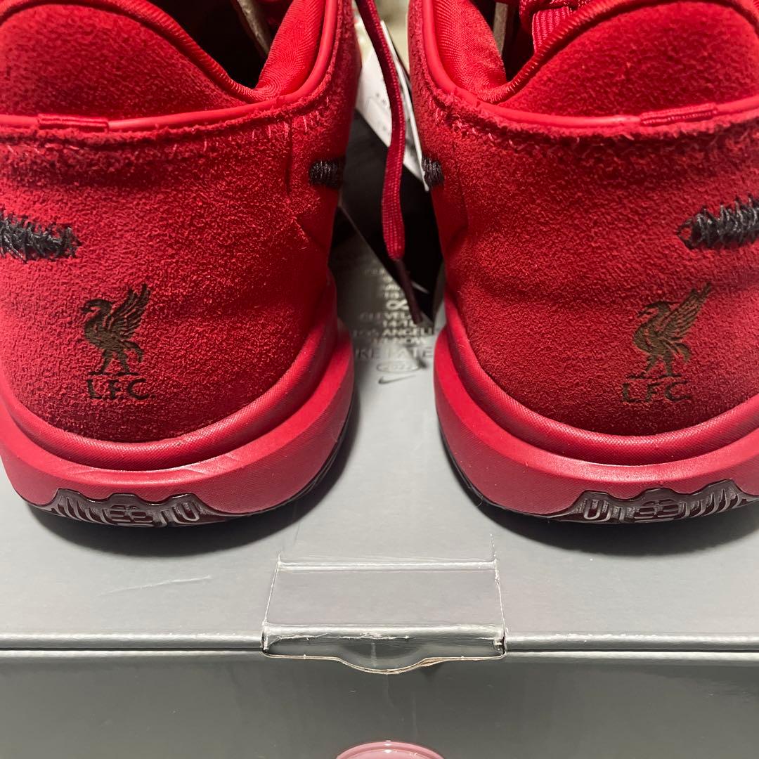 LEBRON XX EP レブロン20【1月10日まで出品】