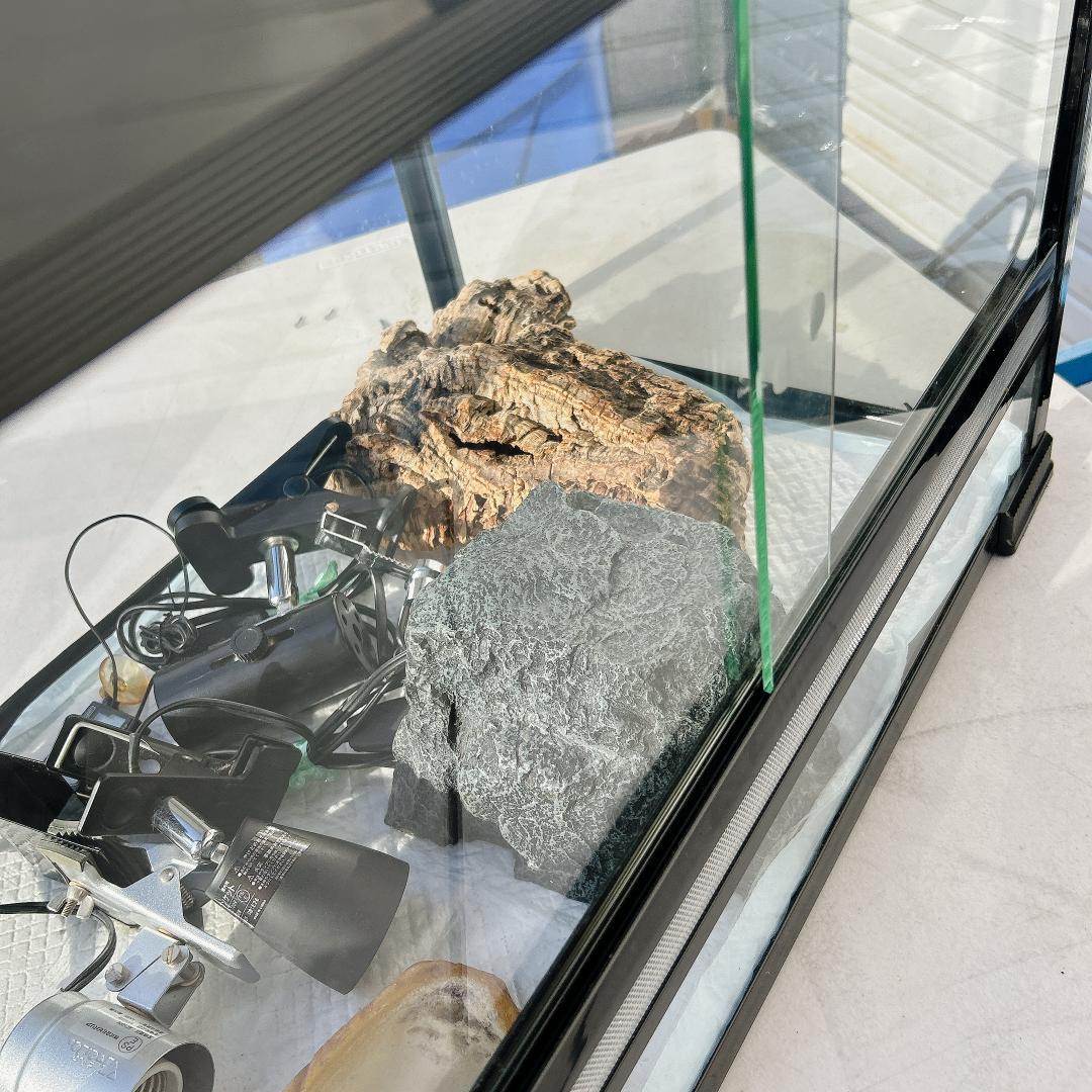 爬虫類飼育ケージ ライト インテリアセット 60x40x40cm トップテラ？