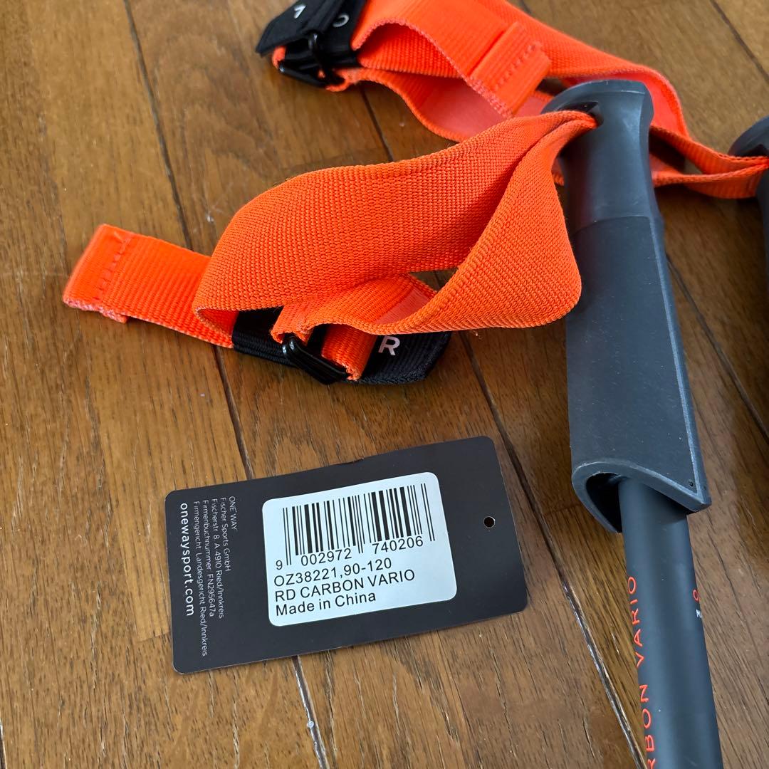 スキー ONEWAY RD CARBON VARIO