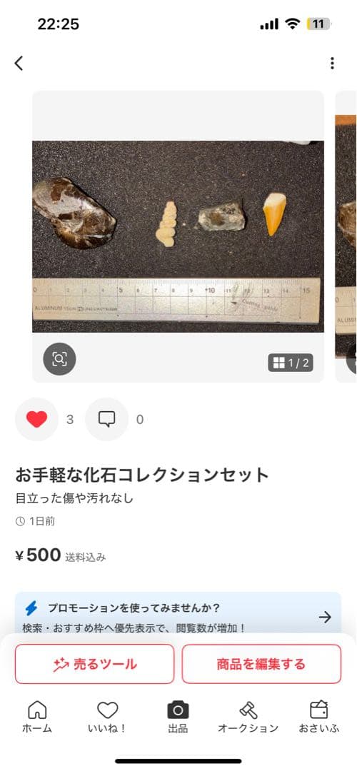 ひでさん　化石セット