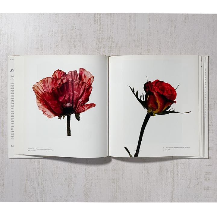 Irving Penn Still Life アーヴィングペン写真集