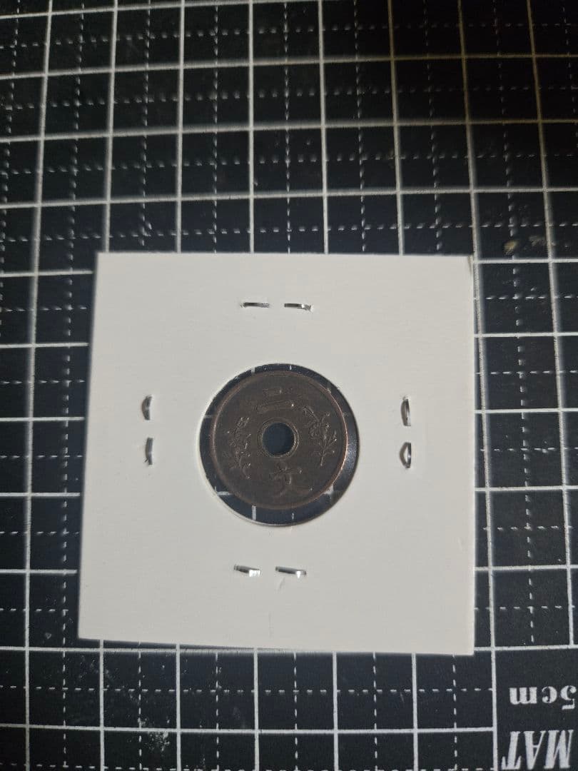 大清銅弊 枝 二文 銅貨 中国古銭 古銭 穴銭