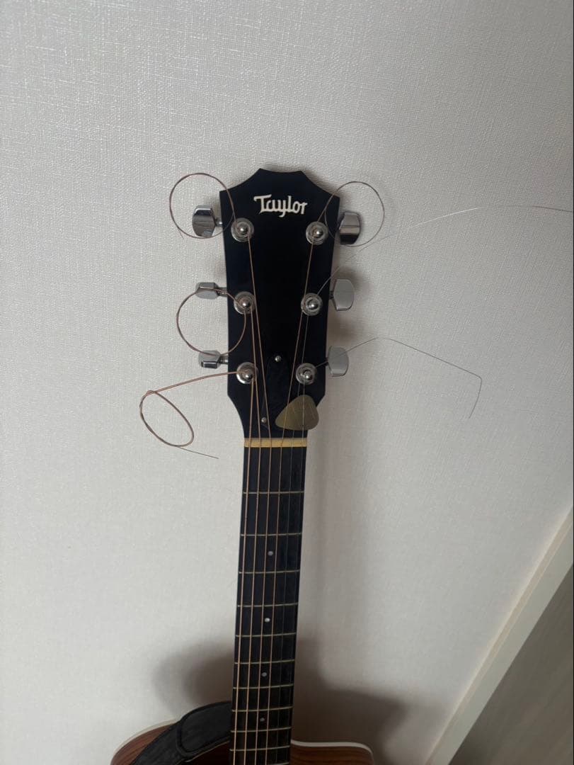 とにーTaylor アコースティックギター エレクトリック搭載