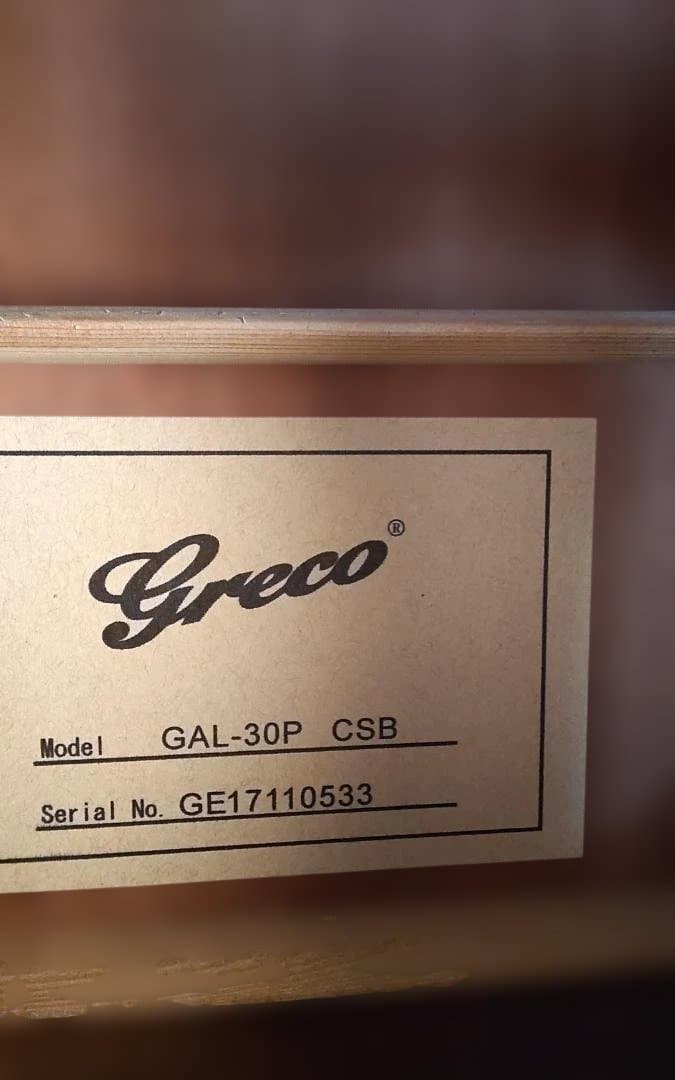 最終大幅値引き‼️美品❗Grecoグレコ　GAL-30P　エレアコ