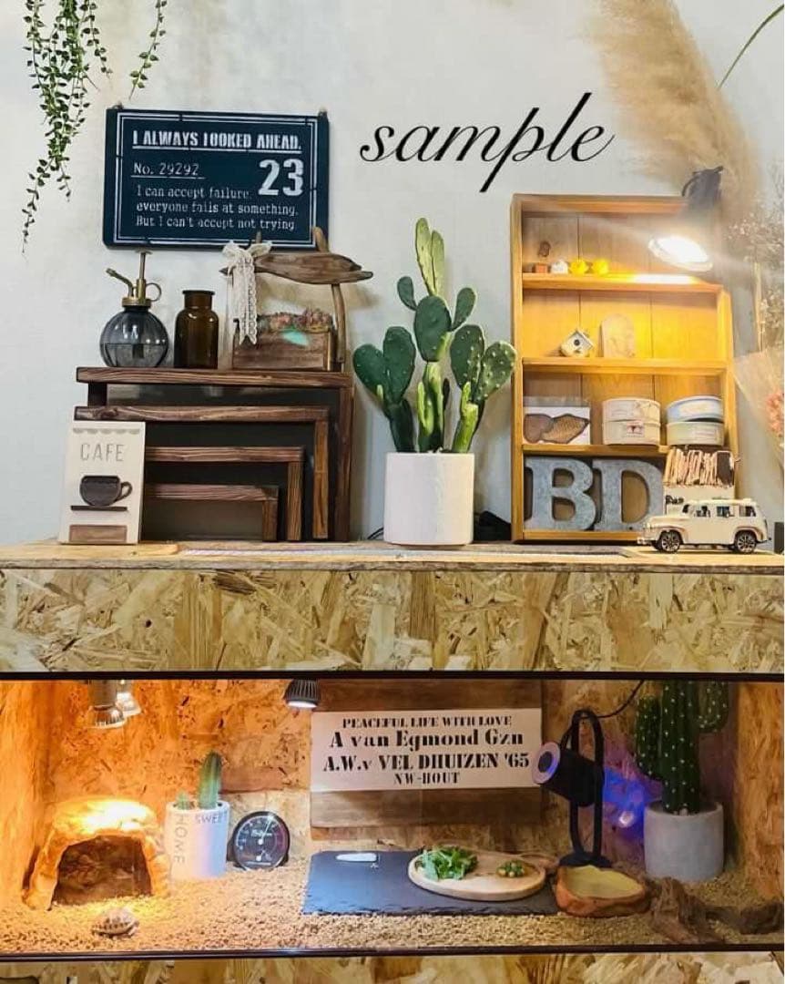 ラバーン爬虫類ケージ　プロフ必読　フルオプ送料込み