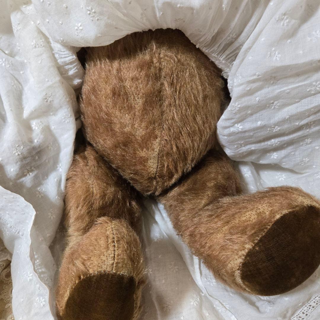 アンティークベア アンティークテディベア ペディグリー社