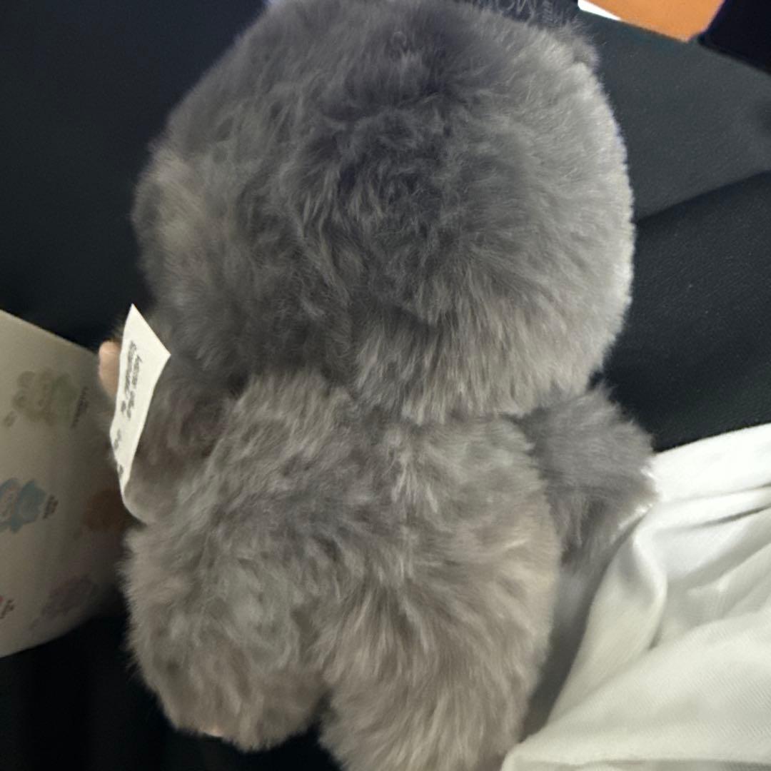 【正規品】ラブブ Big into Energy シークレット　※箱無し