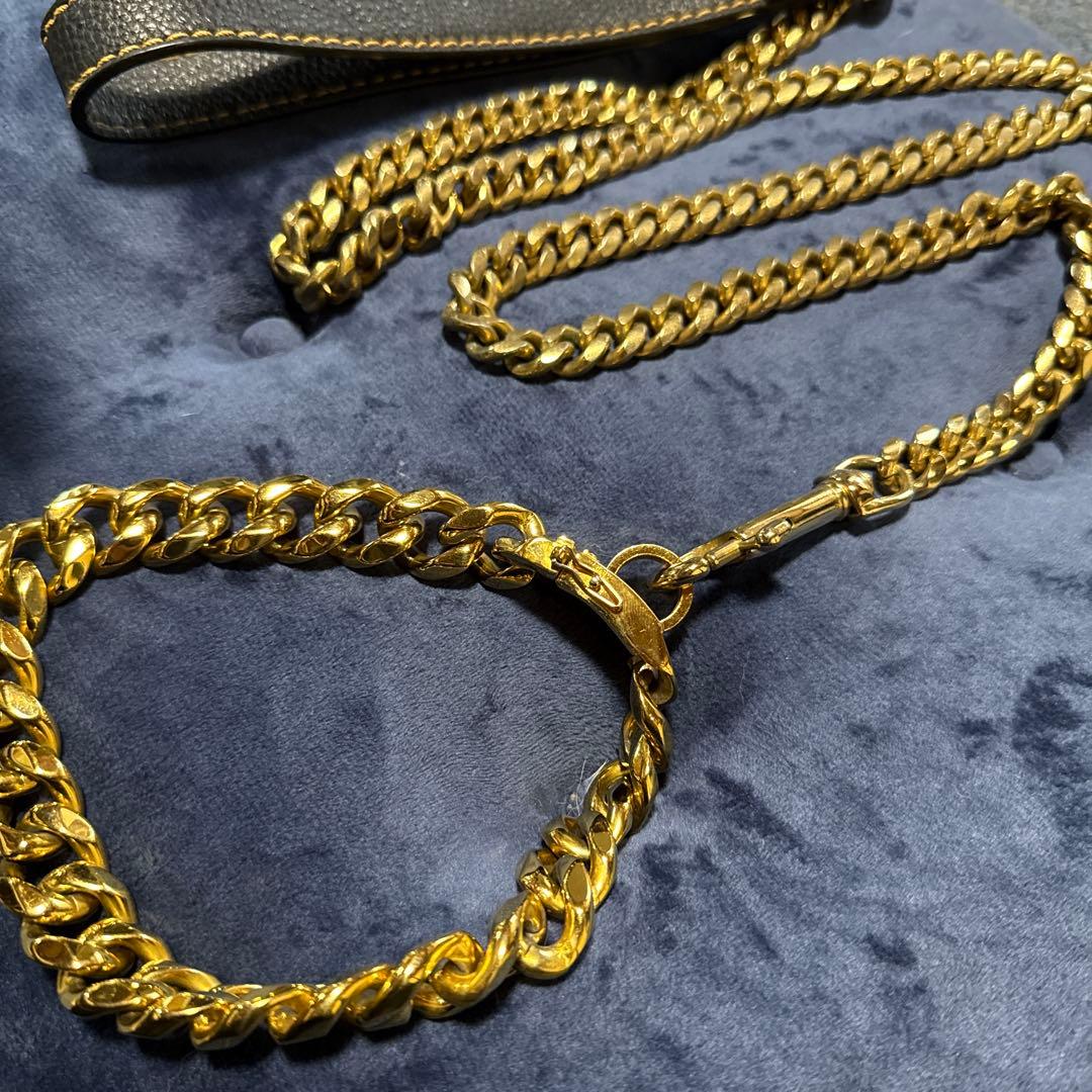 金色の首輪&リードセット