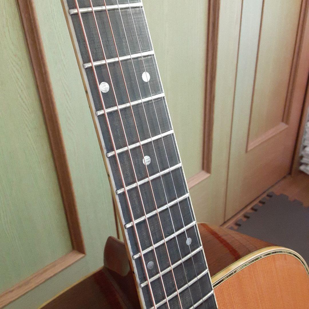 Morris日本製 w30 アコースティックギター ドレッドノート