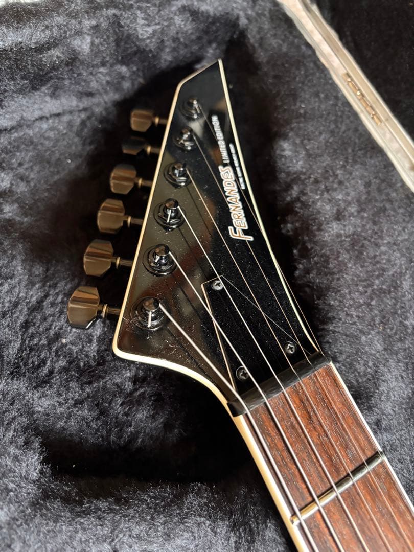 激レア品！FERNANDES TEJ Custom イベント出展品