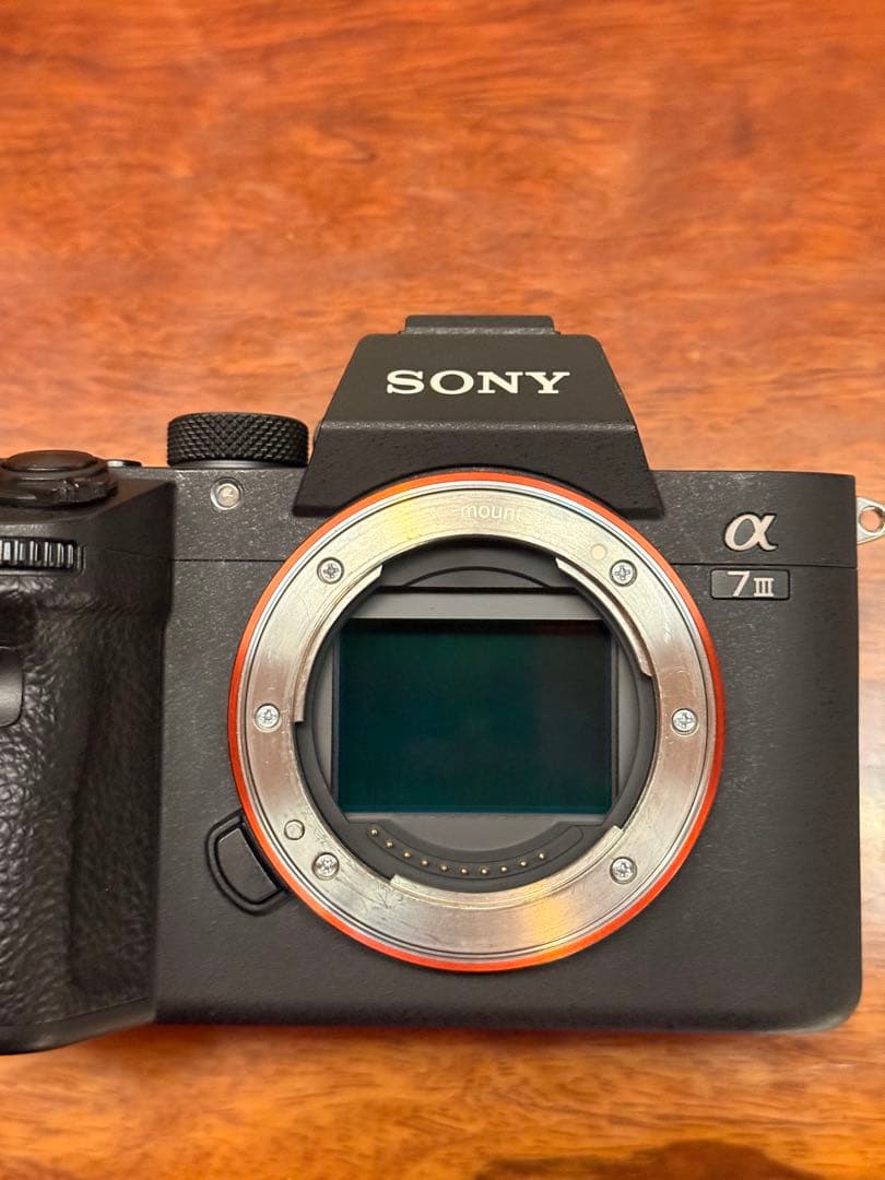 g*n様 SONY α7III美品 【シャッター数6037回】