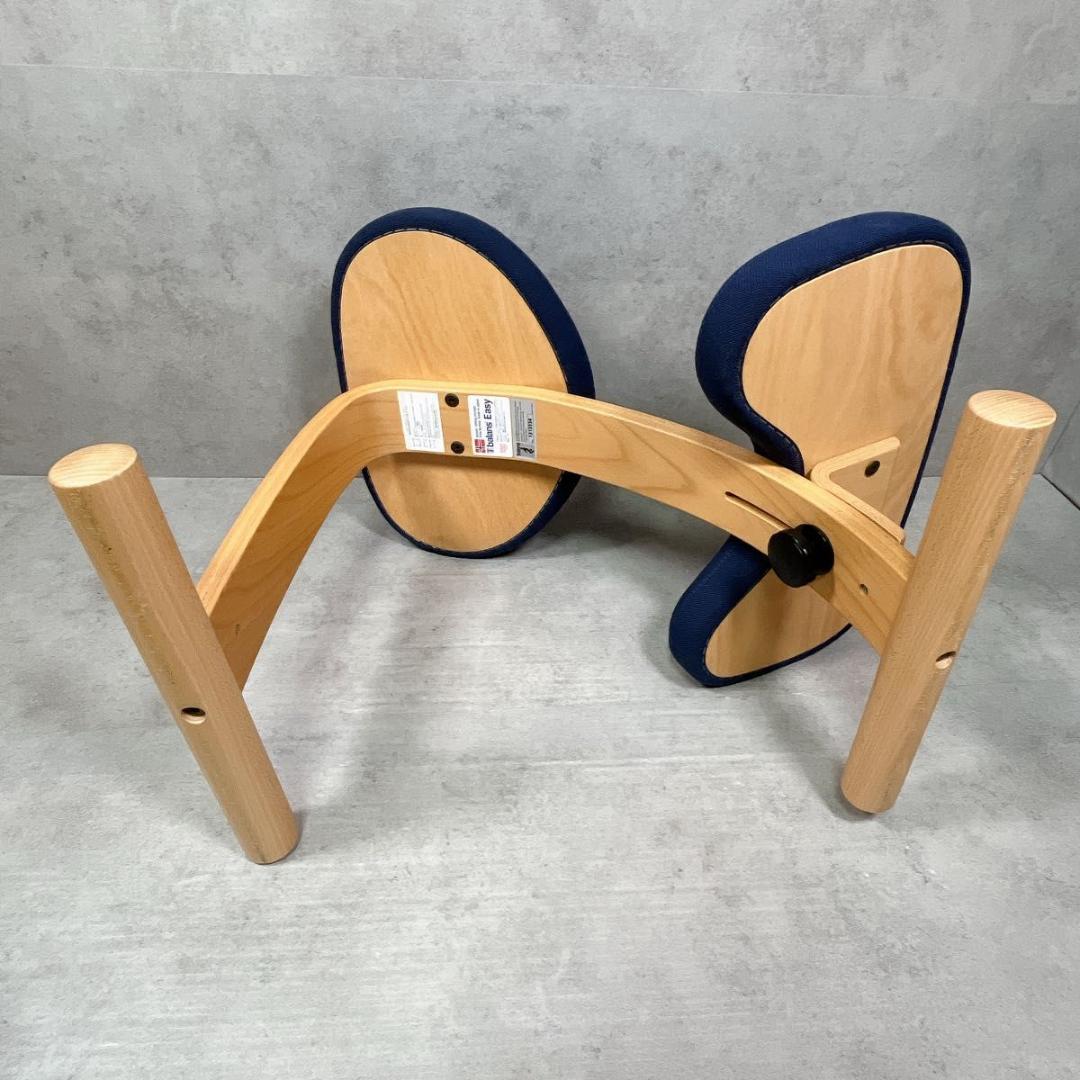 サカモトハウス Sakamoto バランスイージー balans Easy ネイ