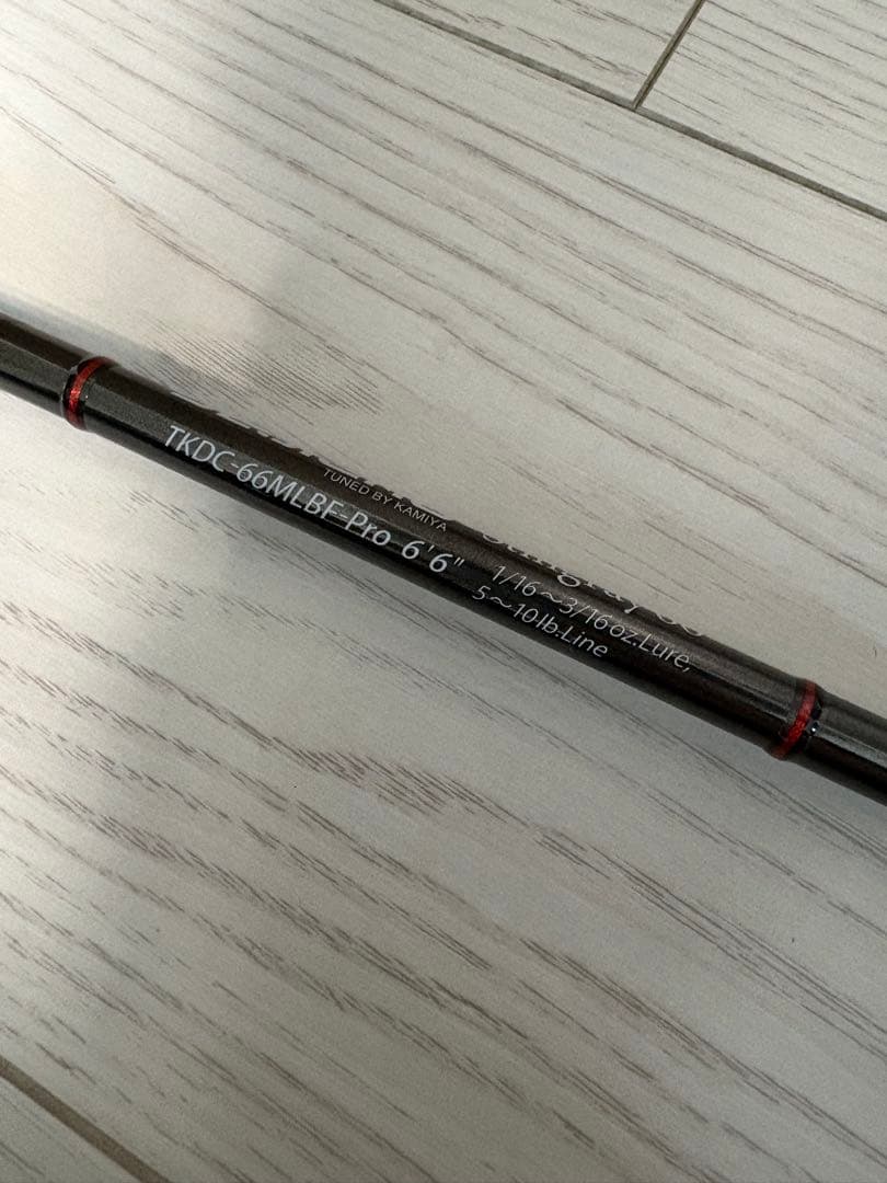 EVERGREEN カレイド　デジーノスティングレイ