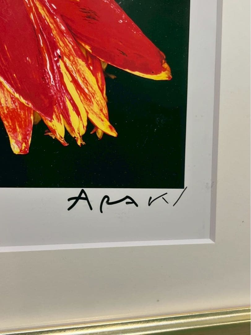 荒木経惟 写真作品 花 サイン入 額装