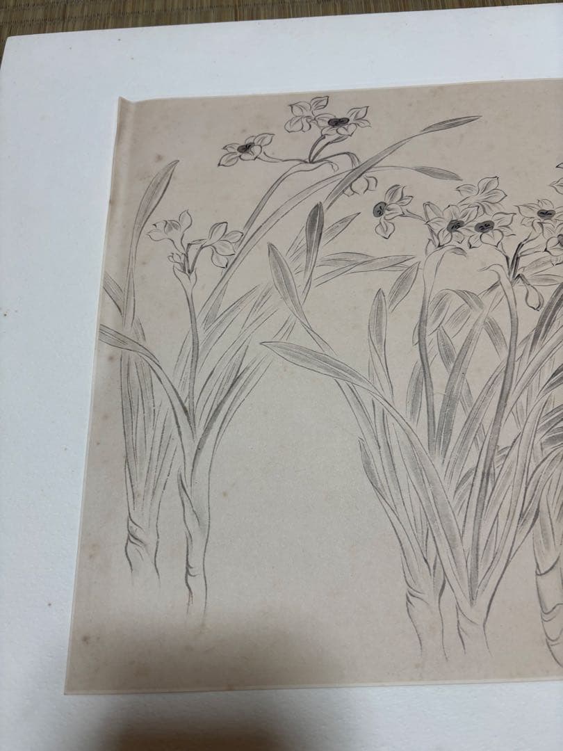 惲　壽平　水仙図（原寸大）　水墨画　清　中国　二玄社 惲 寿平