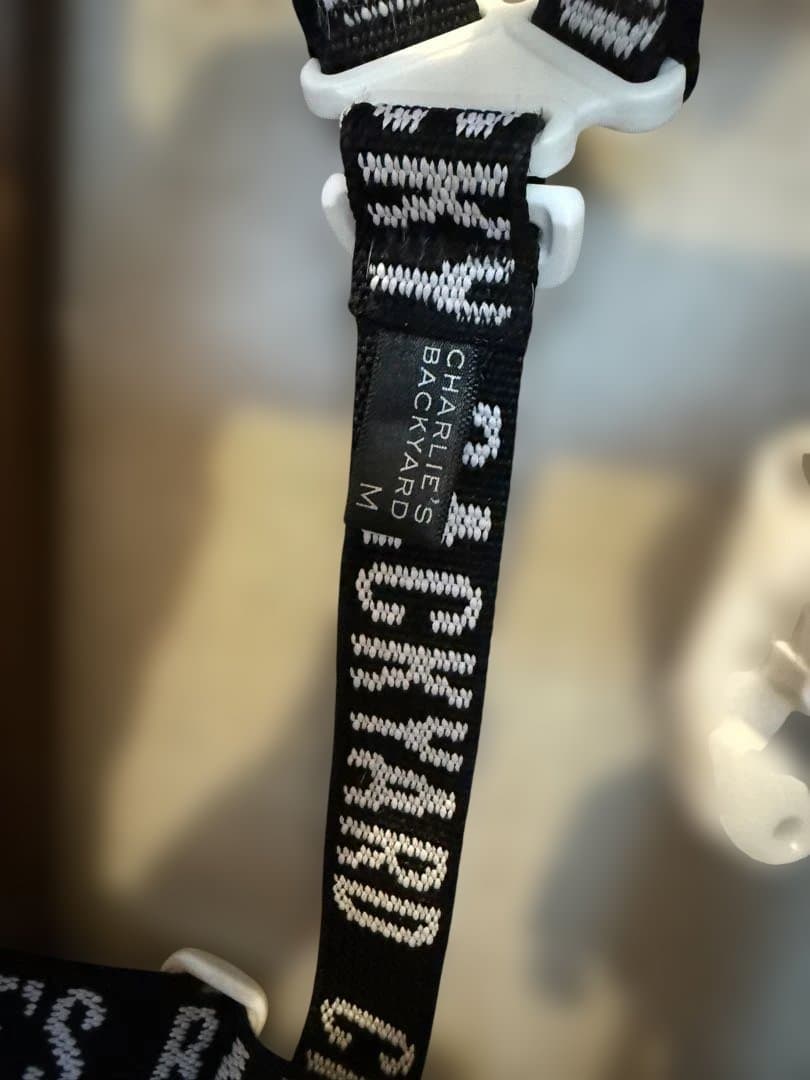 CHARLIE'S BACKYARD ハーネス・首輪・リードの3点セット