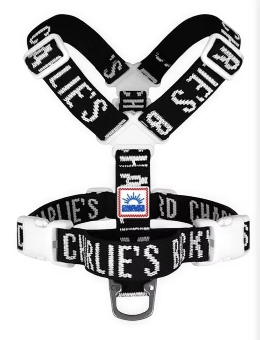 CHARLIE'S BACKYARD ハーネス・首輪・リードの3点セット