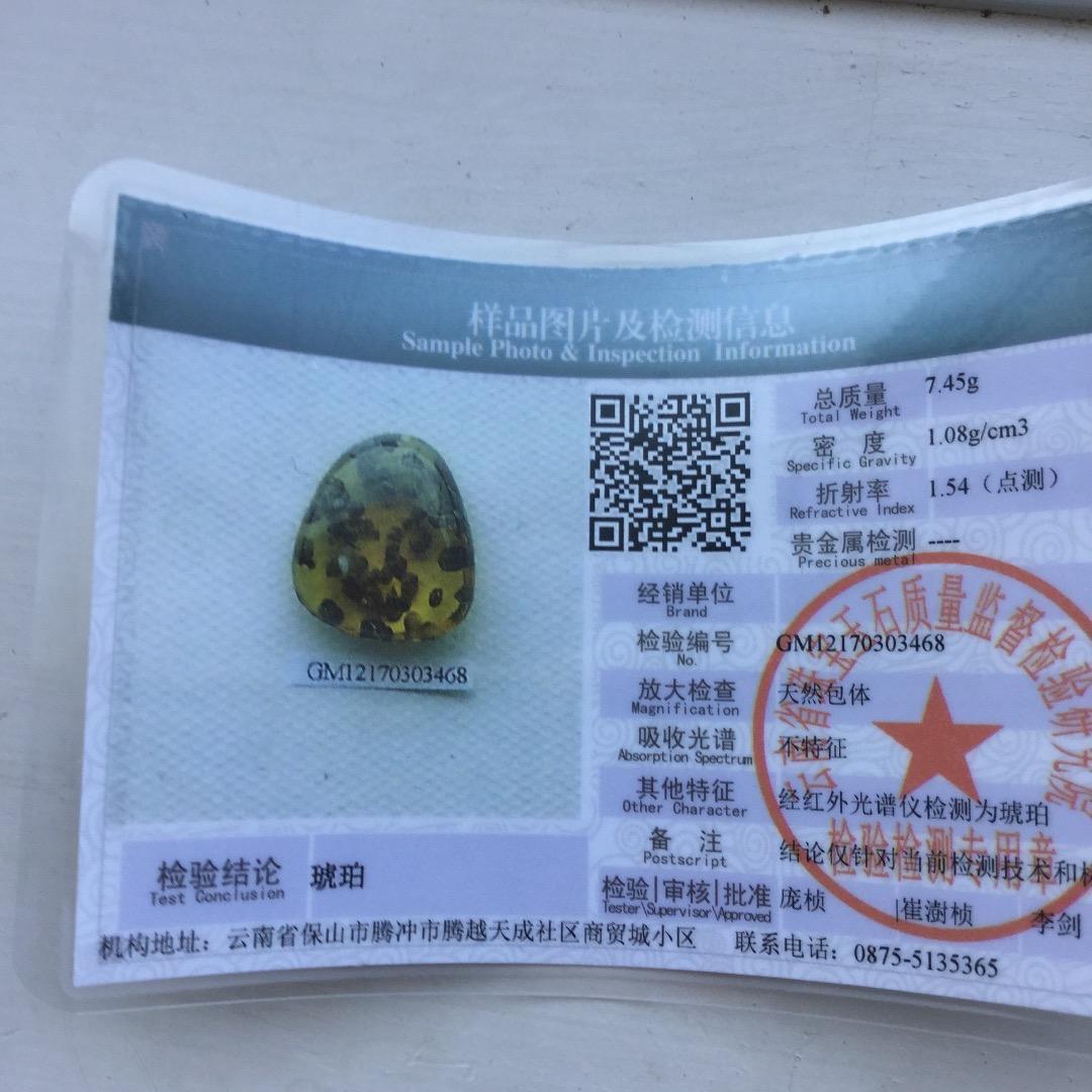 きのこの化石入りバーマイト　ミャンマー琥珀