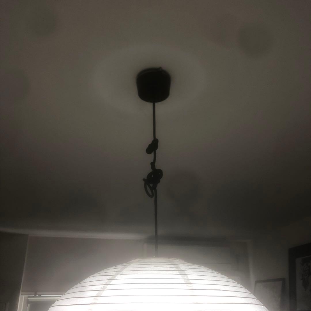 PAPER SHADE / Φ60(ホワイト) hay